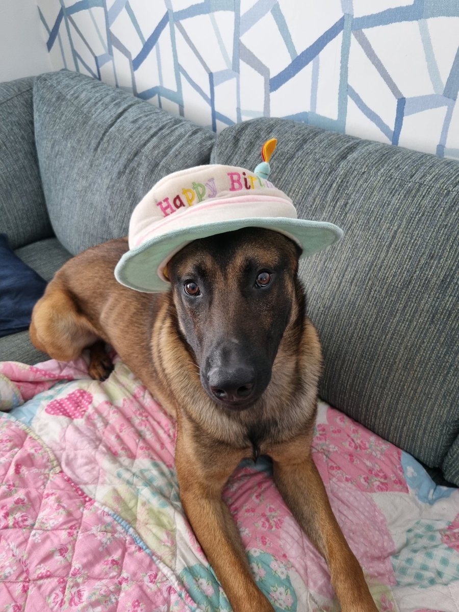 Scottish Police Dog Memorial tweet media