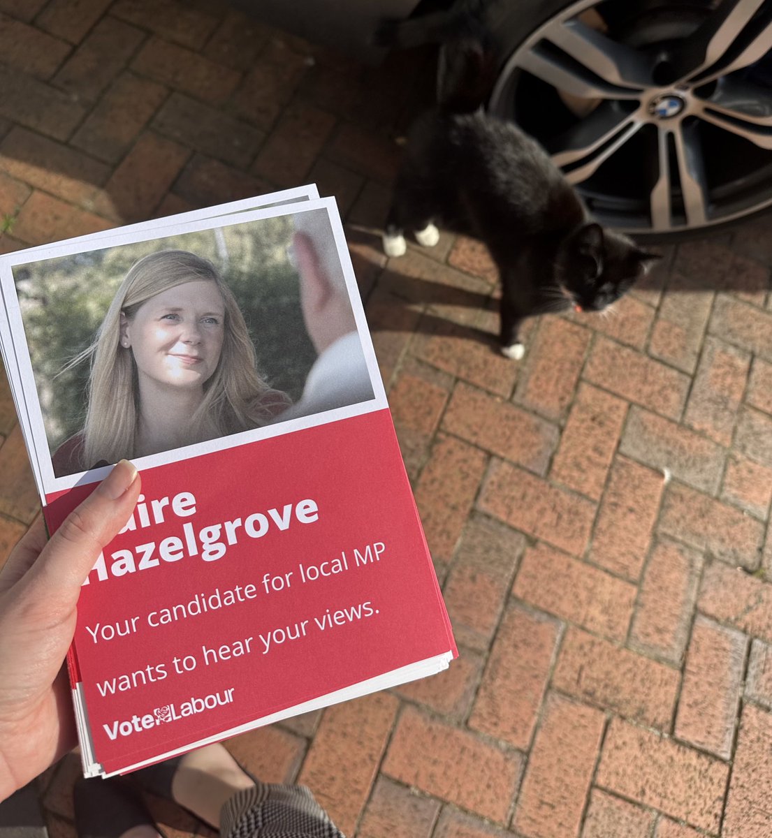 CHazelgroveMP's tweet photo. One of the friendly felines on the #labourdoorstep yesterday. #PawsforProgress #CatsforChange ๐พ https://t.co/D34o9N0LXC
