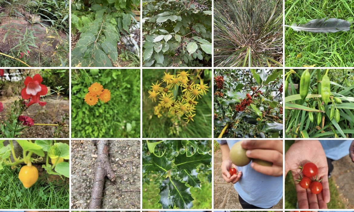 MrsGarfin@StJohnVianneysc (@garfinmrs) on Twitter photo In class 5 <a href="/StJohnVianneySc/">St John Vianney School</a> we are looking at the environment & stewardship
We then looked at our own environment at SJV and took pictures of what they considered beautiful & part of Gods creation. We are lucky at SJV to have some beautiful areas - class5 did a great job 👏 In class 5 <a href="/StJohnVianneySc/">St John Vianney School</a> we are looking at the environment & stewardship
We then looked at our own environment at SJV and took pictures of what they considered beautiful & part of Gods creation. We are lucky at SJV to have some beautiful areas - class5 did a great job 👏
