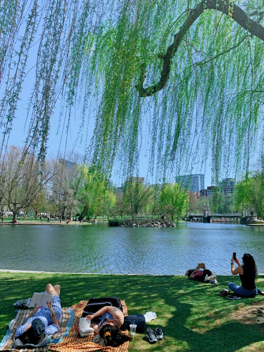 Weekends are a time to get close to nature, go outside and feel the beauty of nature!