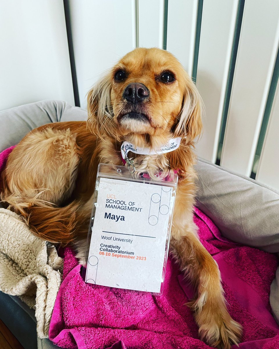It was great to present my work with <a href="/giada_baldes/">Giada Baldessarelli (she/her)</a> at the Creativity Collaboratorium at <a href="/UCLSoM/">UCL School of Management</a>. We also had a special guest from Woof University! 😄 thanks to @martipizzinato for the amazing organization!