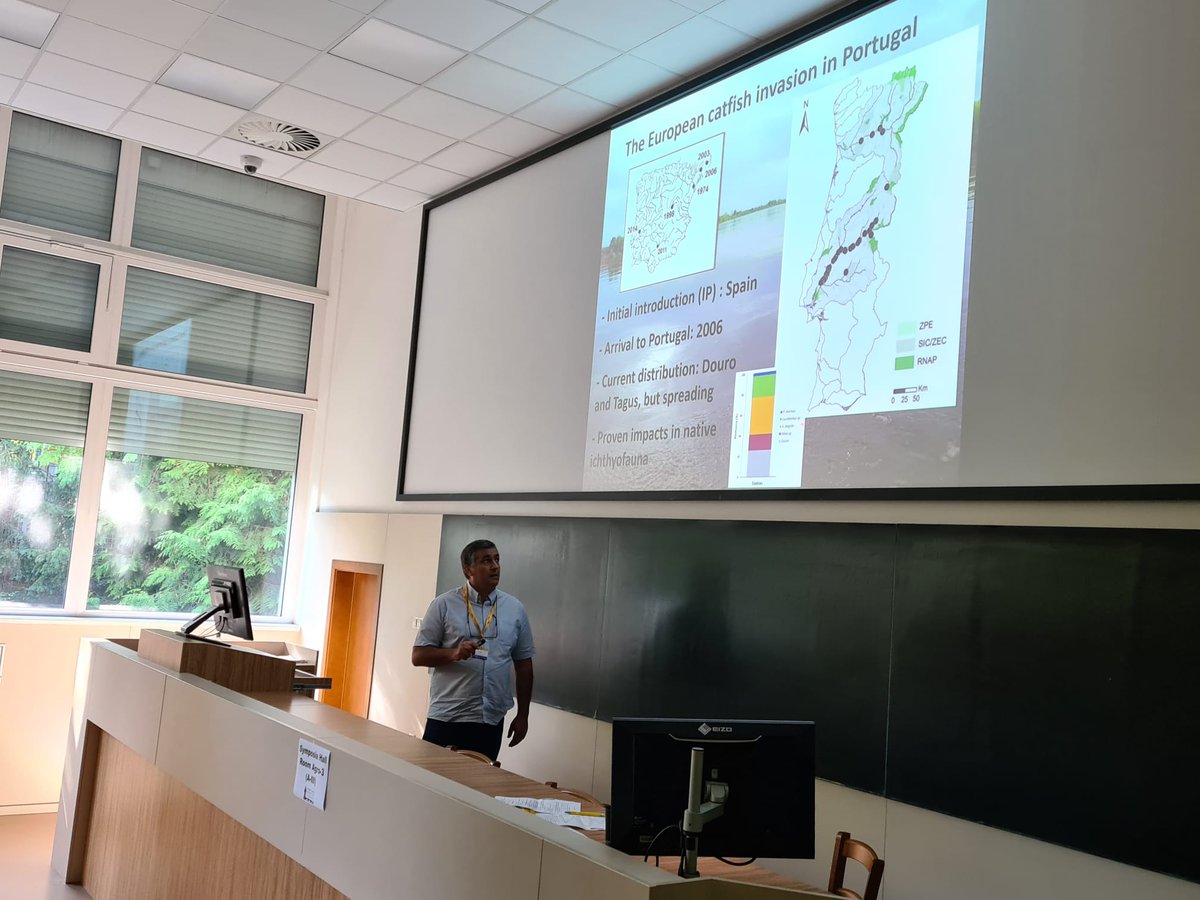 FishInvasionLab's tweet image. Great talk by João Gago from #ESAS @IPSantarem giving the first #MEGAPREDATOR  results of the anglers perceptions about the European catfish invasion in Portugal. This information is essential to develop a Communication strategy for anglers @MARE_centre #eci2023