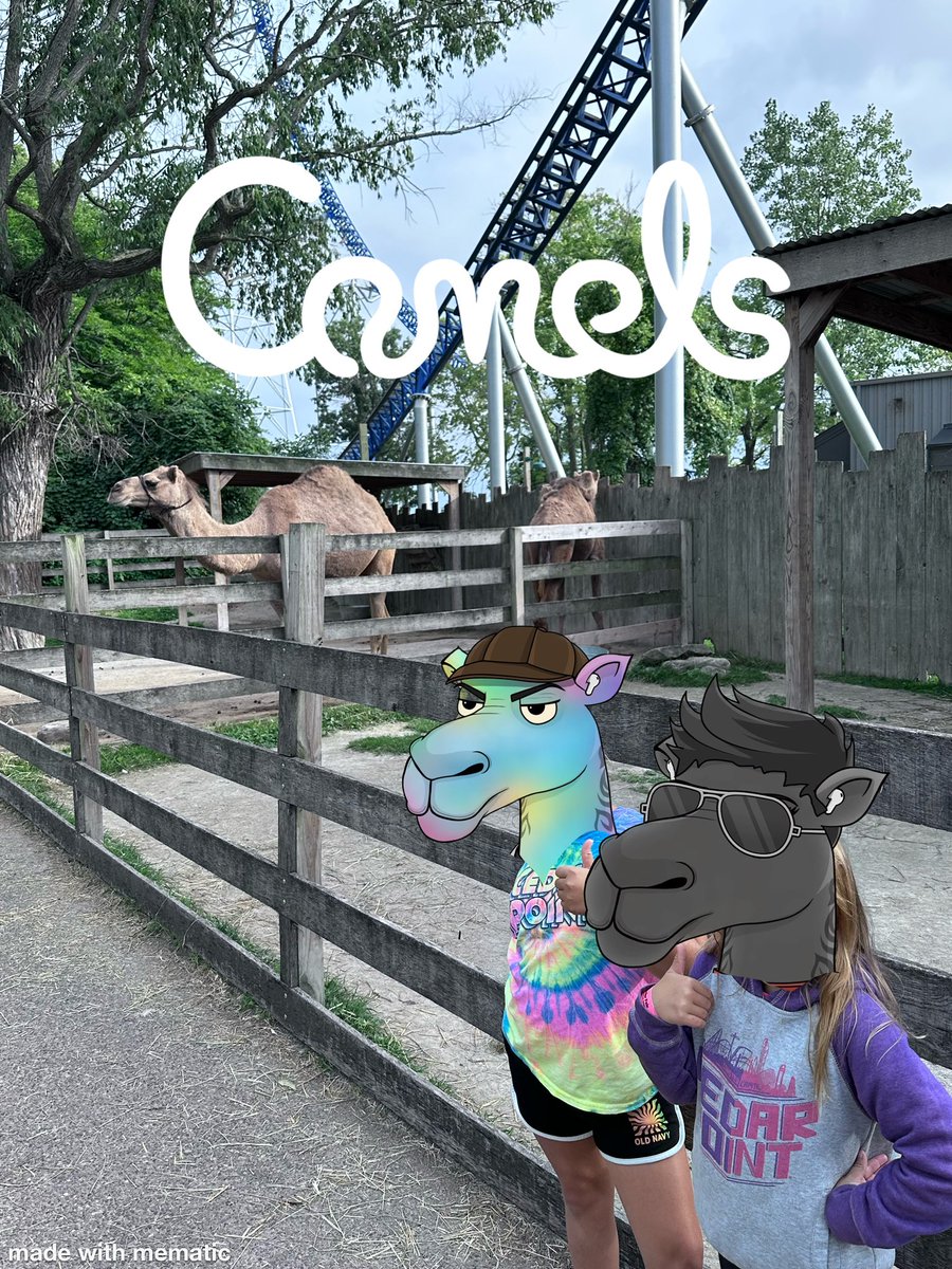 Rob55155944's tweet photo. GM @CamelsNFT I took my #CamelsFam to @cedarpoint to see some #CamelsNFT https://t.co/kiCEPlYDFt