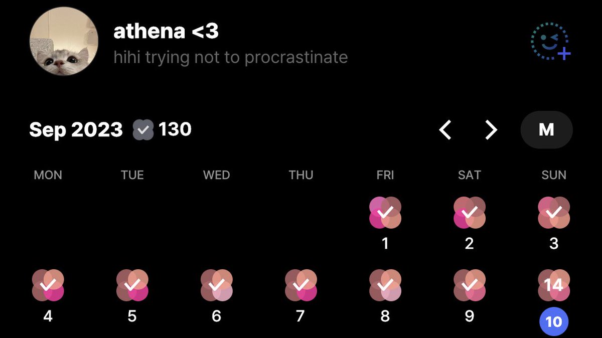 finally organized my tdm!!! let's be moots hihi <3333 — #studytwt #studyph (user id: athy)