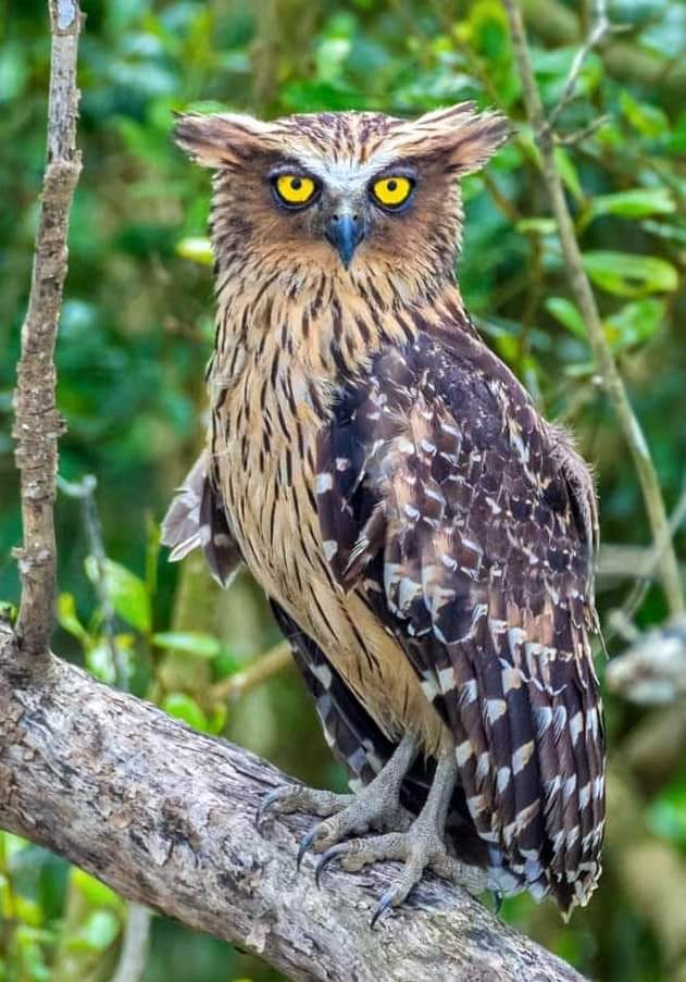 #NaturaFantástica Medellín