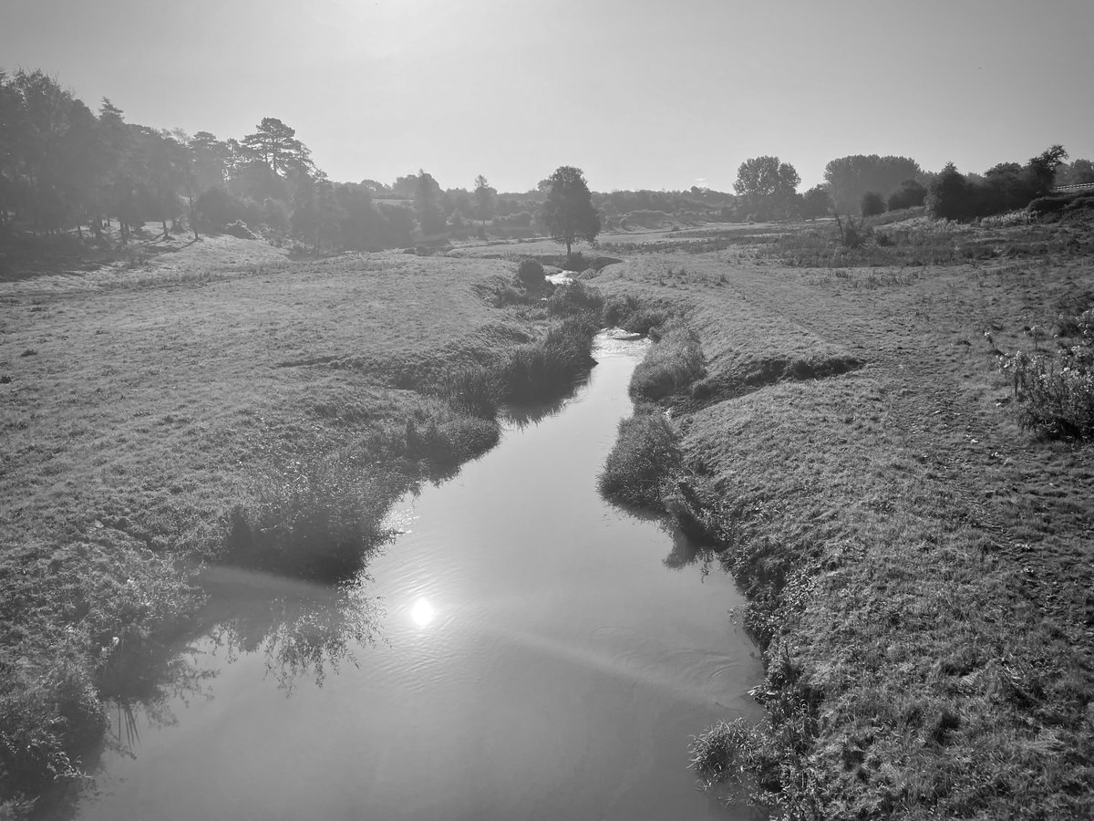 How lucky are we to have all this beautiful scenery in walking distance of our front door in #Witney! Got up at 5am yesterday to beat the heat and with the help of #OSmaps walked on public footpaths to Charlbury via Wychwood Forest, Finstock and Cornbury Park estate. ☀️🌳💖🙏