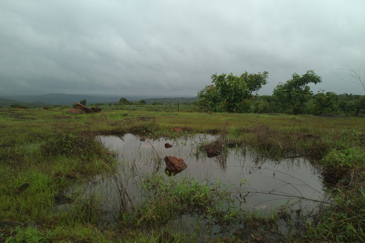 Jahnavi Joshi tweet media