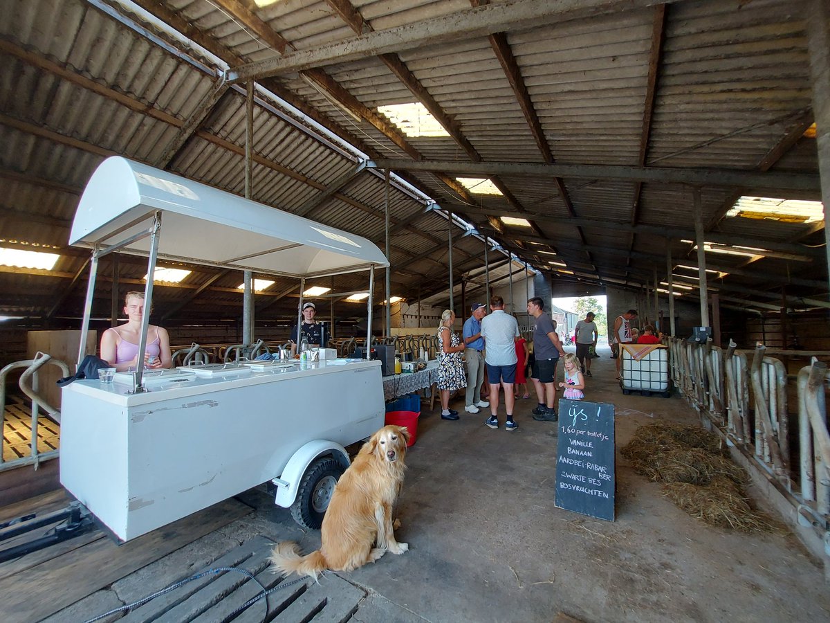 meta knol tweet media