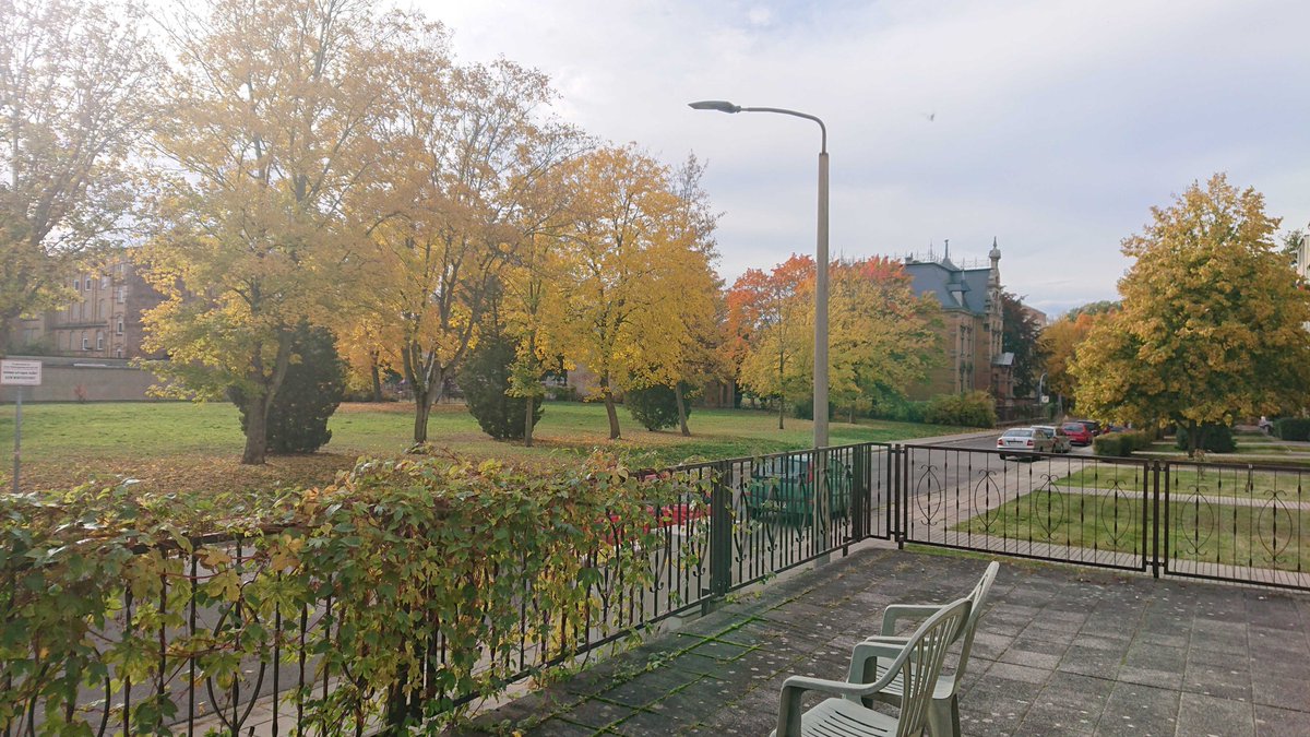 Let's continue our series about the different tasks volunteers can contribute with at the Singularity Group! 🌱🌸🌳
Read about our plant-related options in this new post:  singularitygroup.net/news/tasks-pla…