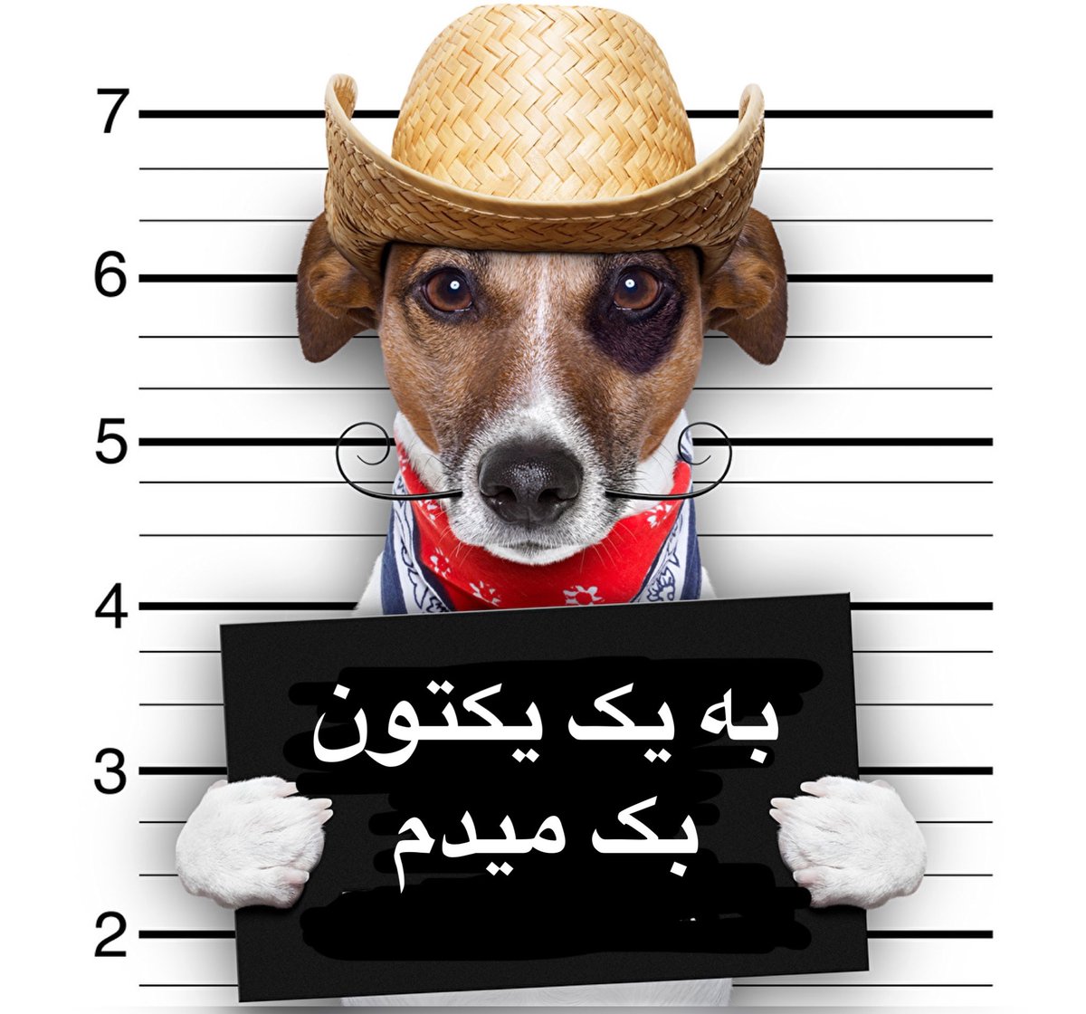 abolfazl0916's tweet photo. شنیدم تازه واردارو حمایت می کنید
یه هولی بدید منم برم بالا
ریت=ریت
فالو=فالو
بک سریع تضمینی

#حمایت_تایم https://t.co/J3CR8dQ3RL