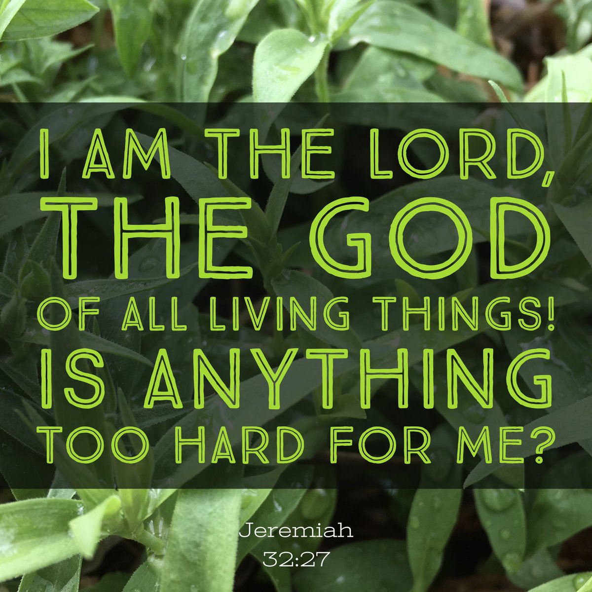 graceodada's tweet photo. #HappySunday ✝️ https://t.co/SOvYUh28tZ