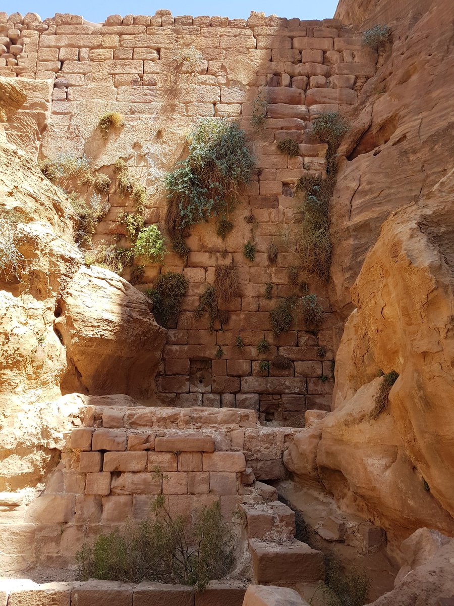 The Garden Triclinium. Its function is still not clear but might be connected to the huge cistern next to it, with an 8m high stone wall, was one of the biggest cisterns in #Petra, dated to 2nd-3rd quarter of 1st Century. #AncientSiteSunday #StoneworkSunday #Archaeology #Jordan
