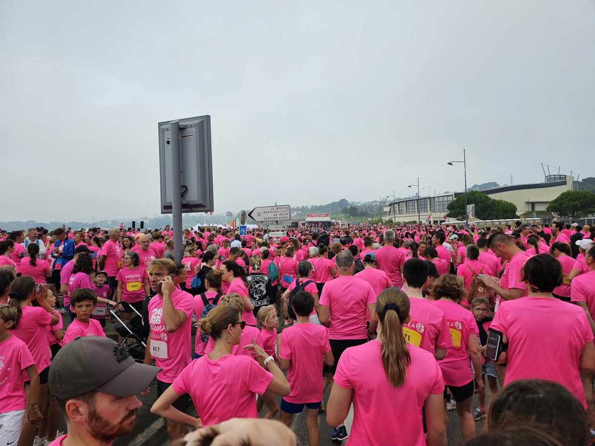 Notaires du 29 tweet media