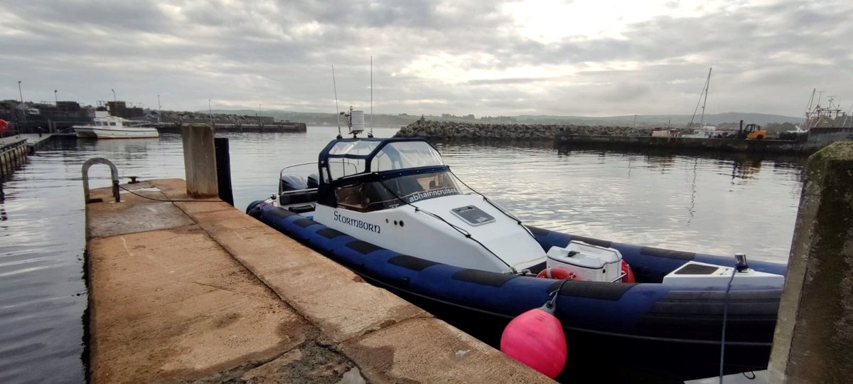 Ballycastle Harbour this morning 🌞 We are still running sea safaris throughout September so get in touch if you would like a private charter tour, weekdays or weekends @VisitCauseway @DiscoverNI @discoverirl @TourismNIreland