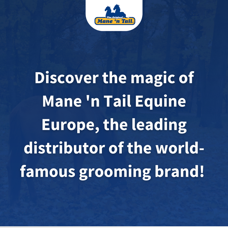 ManeNTail_EU's tweet photo. Originally designed for show horses, have found a place in the human haircare market, too, thanks to their proven benefits. 

From our Original Shampoo and Conditioner to our Ultimate Gloss range, we promise health, strength, and shine for both you and your horse.

#ManenTail https://t.co/OQpMq56Mxl