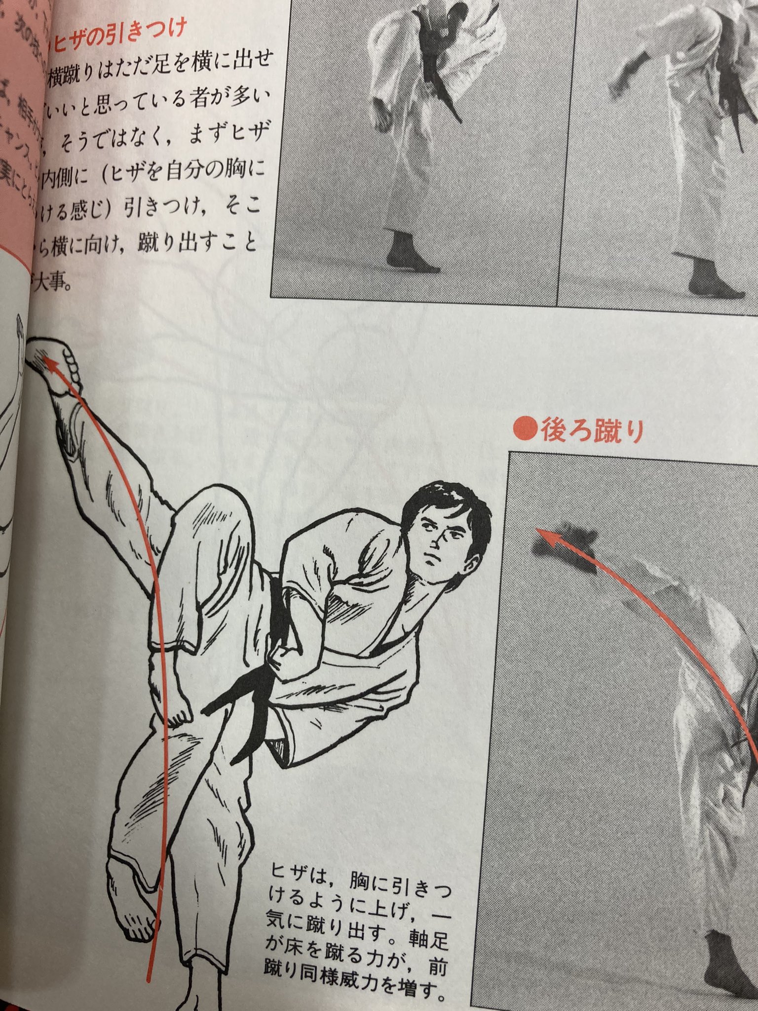 芦原英幸 - Search / X