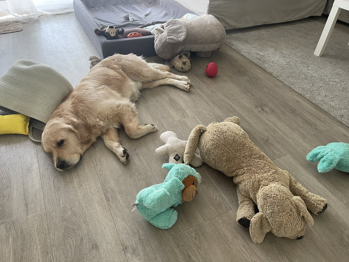 Tobinator🎄🎅🏻 tweet media