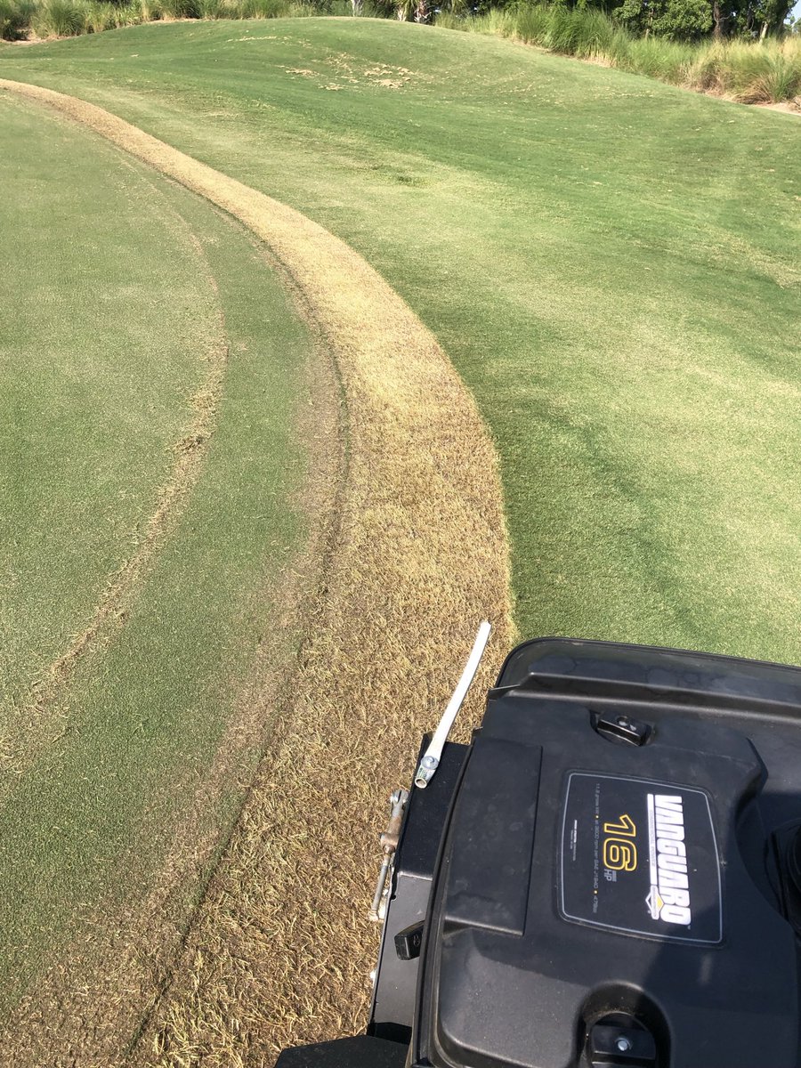 RNA Turf tweet media