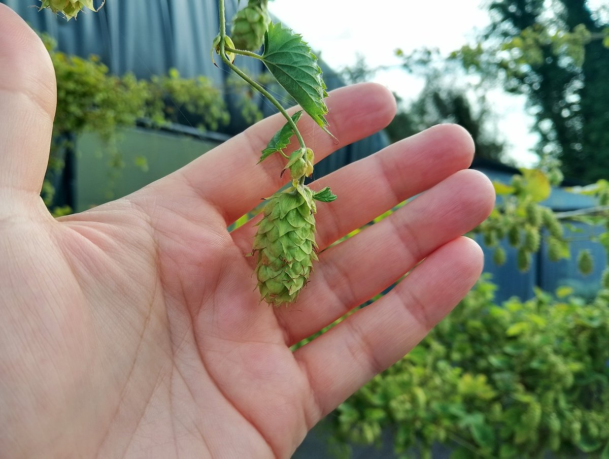 Keywater Fisheries tweet media