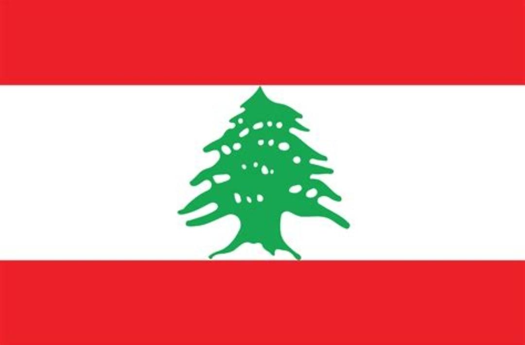 LebaneseDiaspo1's tweet photo. @rofaielmakhhool @WGebran @ziaddddddddd @hhlahoud @henrigzak @AdoniLabanon @BejjaniY42177 @AbouAram180575 @fadymozaya @MarxabaOfficial @ZoeChehab @PhoenicianLB @Lebanon1559 @sakr_arz @GabyHK @LeslieNakad @Gotc1975 Wled ekte ma b yexqo mniix lebneene. Anjać yefhamo. Emmon kellćene be Qanada.
It's important for us, the Lebanese Diaspora, to write as we speak and preserve our #LebaneseLanguage.
We are proud Lebanese. https://t.co/XOutJ62jvx