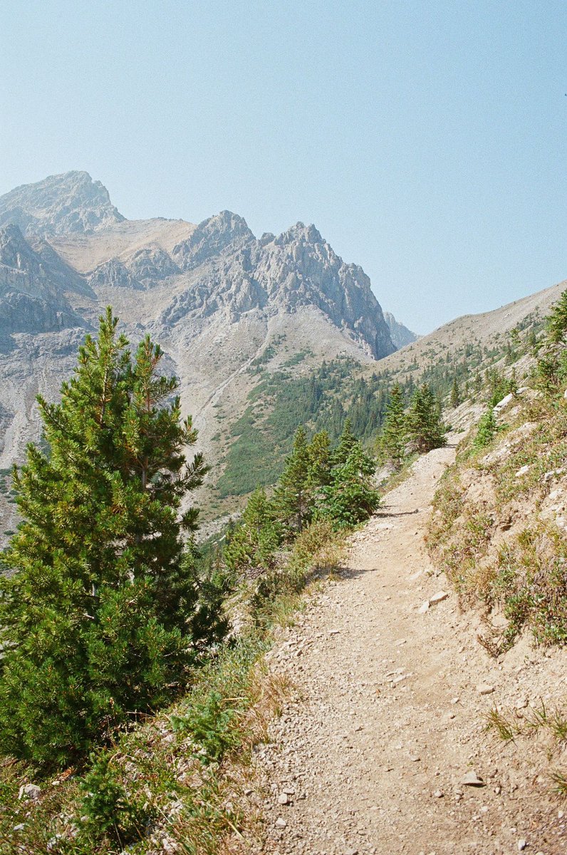 JamesCapet's tweet photo. Midday hiking in Banff, Alberta. https://t.co/AhWEQGmMhT