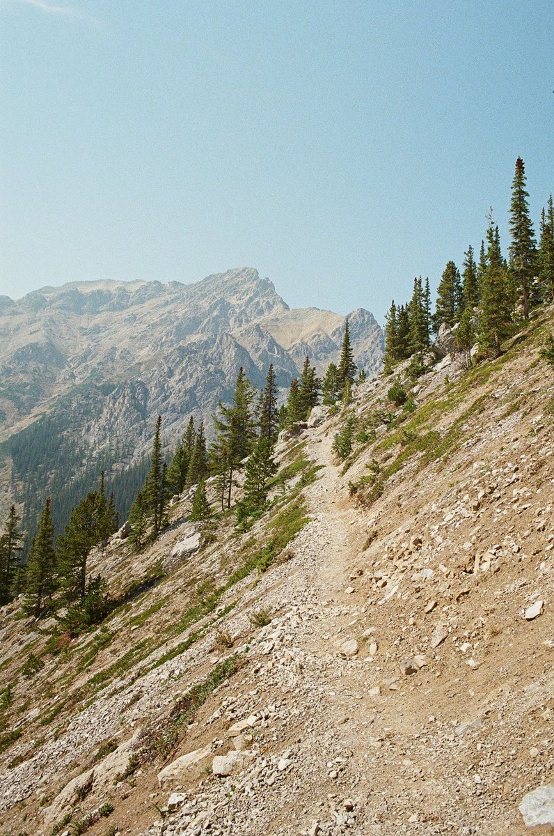 JamesCapet's tweet photo. Midday hiking in Banff, Alberta. https://t.co/AhWEQGmMhT