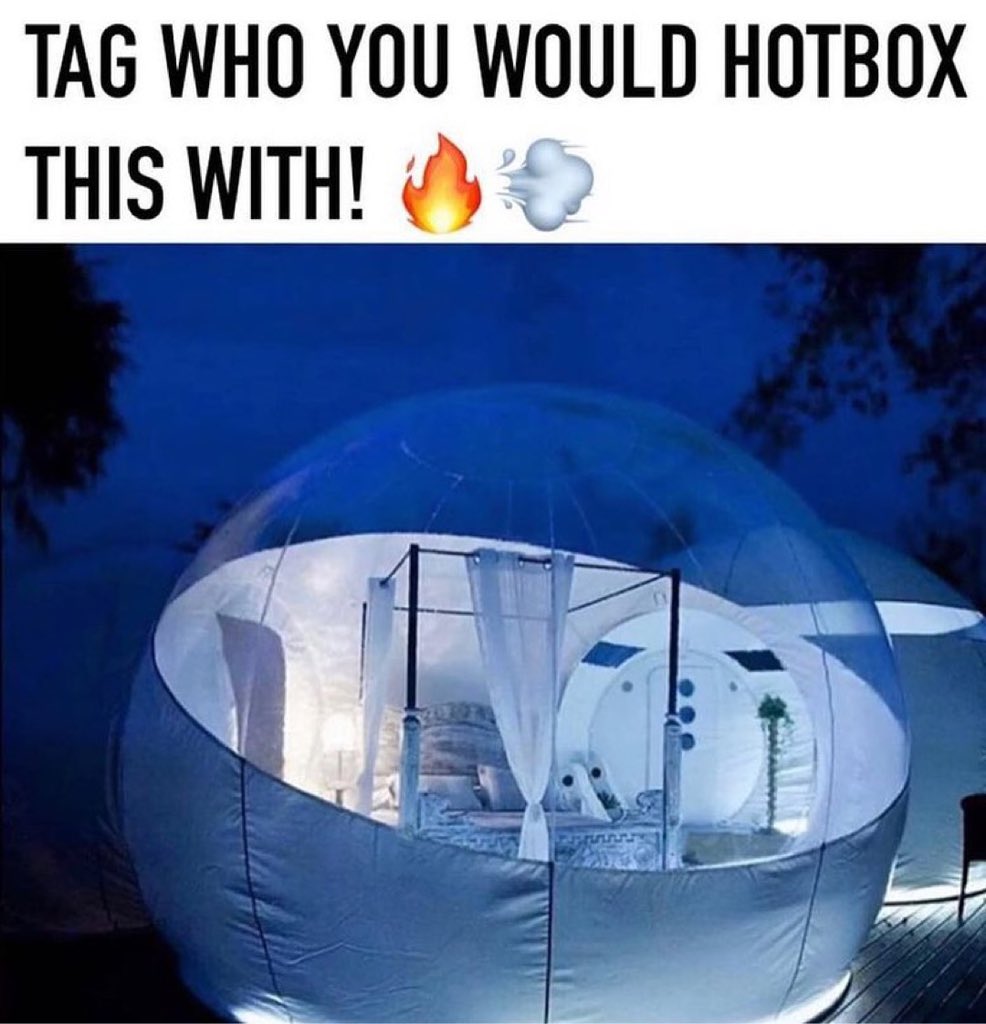 Shitpegs 🧩 (@shitpegs) on Twitter photo 