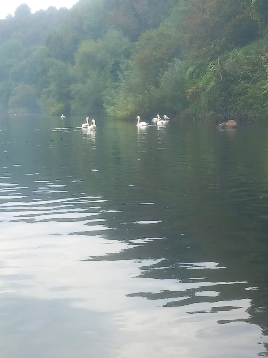 Debbie Beadle tweet media