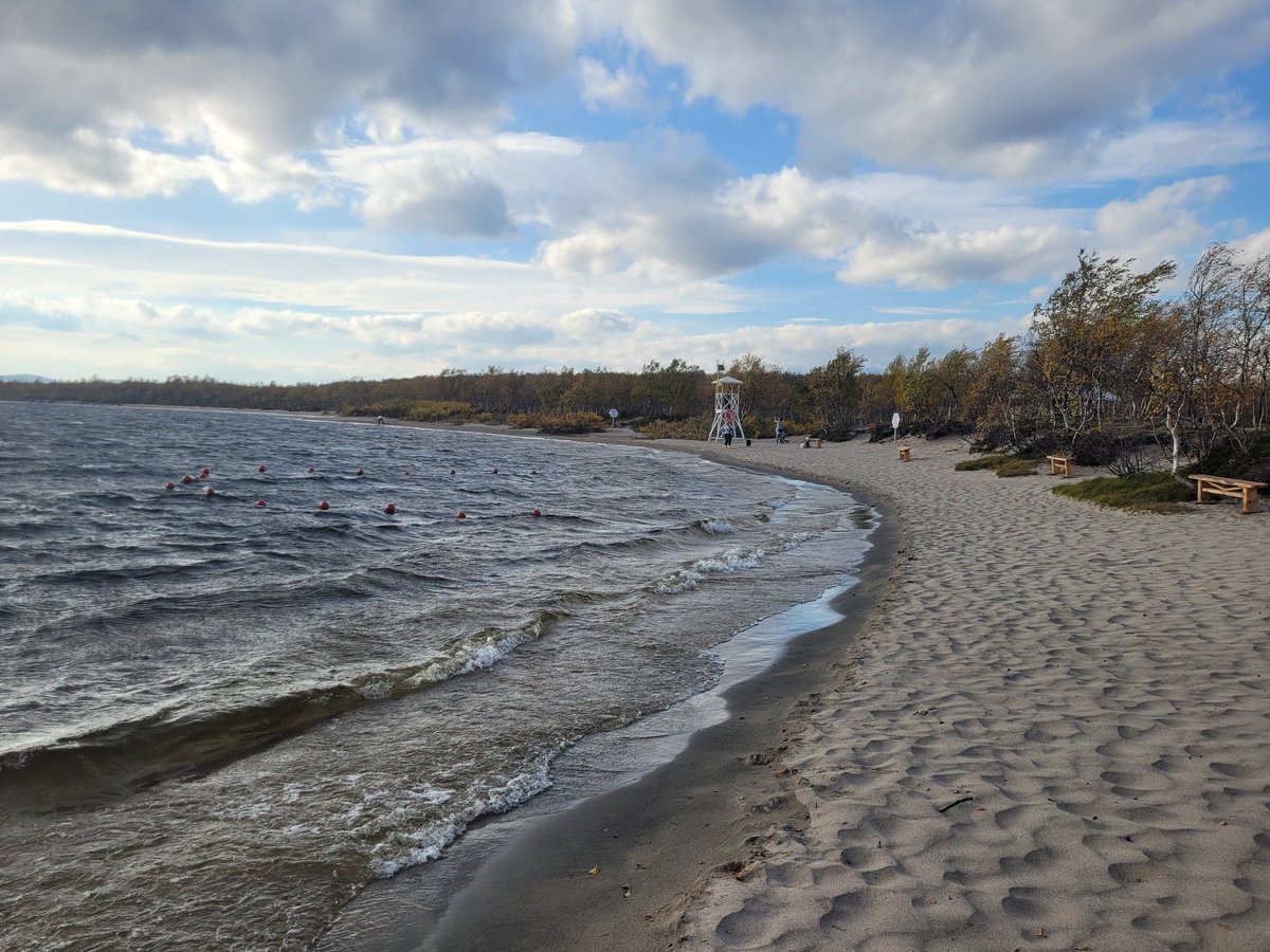 Тэфия tweet media