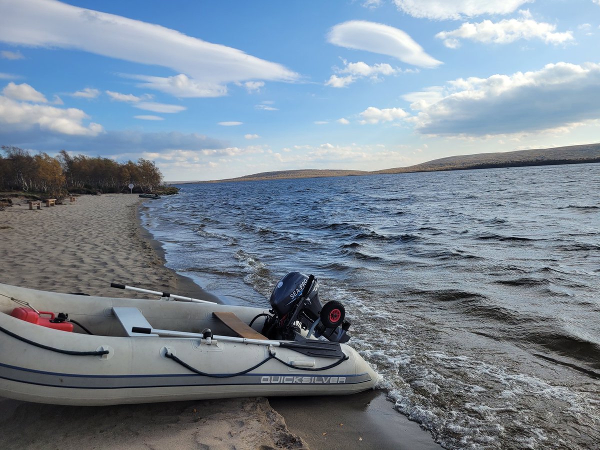 Тэфия tweet media