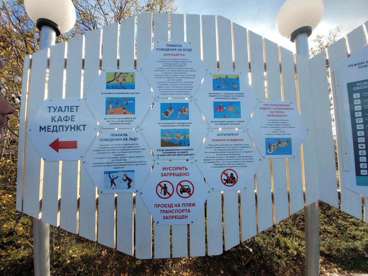 Тэфия tweet media