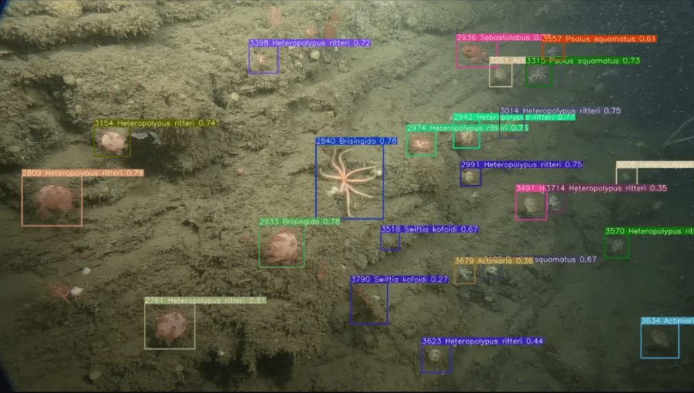MultiplatformAI's tweet photo. MBARI's FathomVerse: Gamifying Ocean Exploration with AI

#AI #AIportal #aquaculture #artificialintelligence #datarepository #deepseamining #enthusiasts #environmentalimpacts #experts #FathomNet #FathomVerseapp #gamification #llm #machinelearning

https://t.co/IWzL8BZlqG https://t.co/YO1cS4ghD9