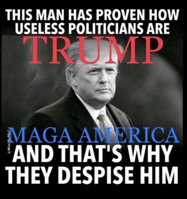 Happy Sunday.  Hope you are all having a phenomenal afternoon ♥️

If you support President Trump in his unwavering support for the American people, the fight against DC Corruption, and his genuine love for our Country… I want to follow you 🇺🇸

REPOST if you agree 👇🏻👇🏻