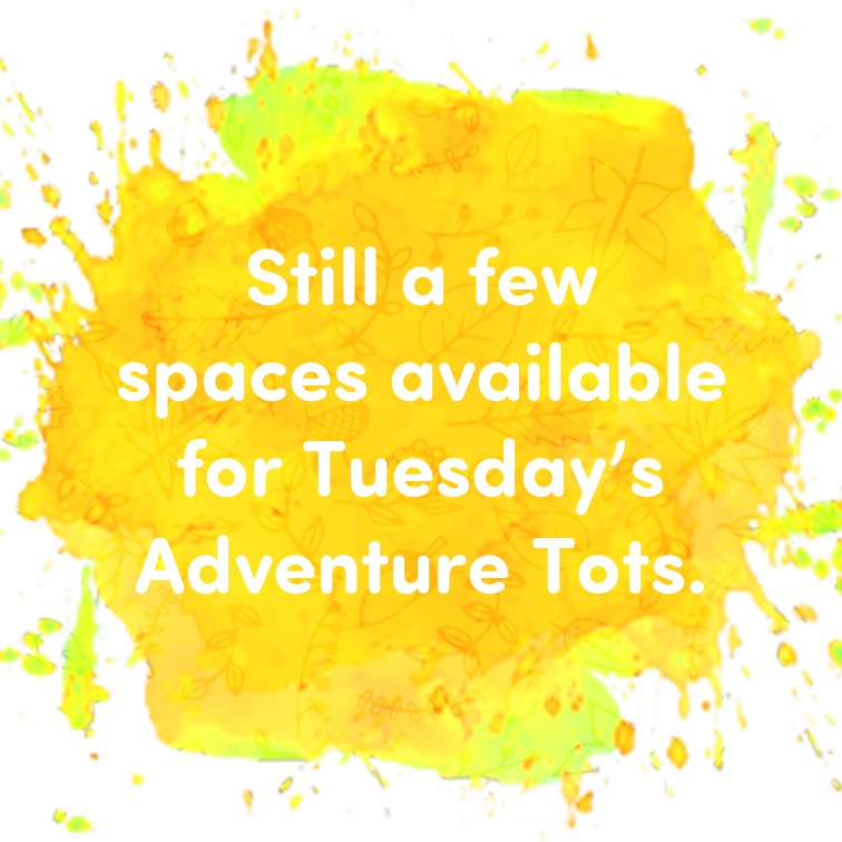 FindingWildFS's tweet photo. Really looking forward to seeing our Adventure Tots on Tuesday for our session in Baildon.

If you've not yet booked, there's still time!

Link to book: https://t.co/UviUUVlY2W

#natureplay
#forestschool
#preschoolactivities
#toddleractivities
#baildon
#shipley https://t.co/XdrulX03gJ