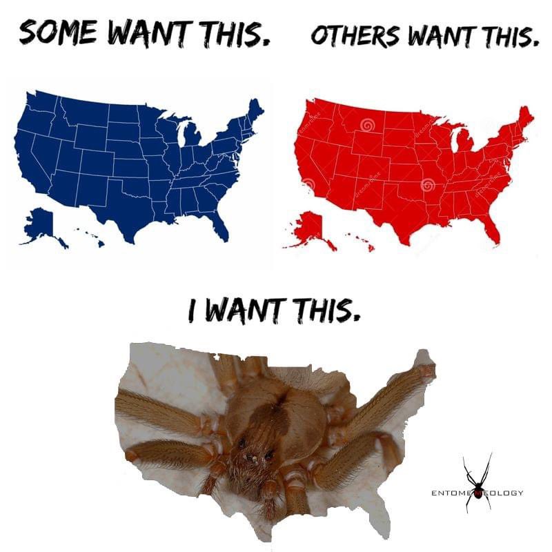 Entomemeology tweet media