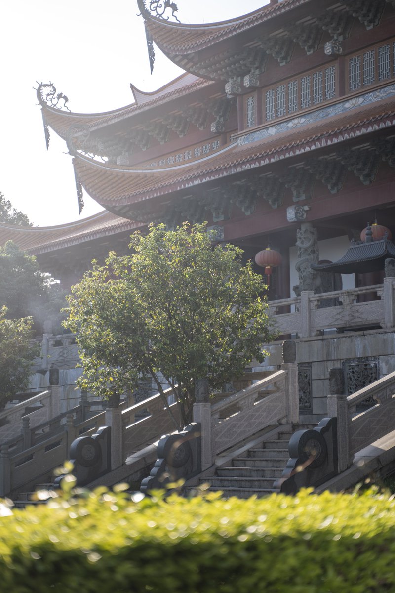 rocwow's tweet image. 心灯可明尘世繁华，清风可拂无尽烦恼"