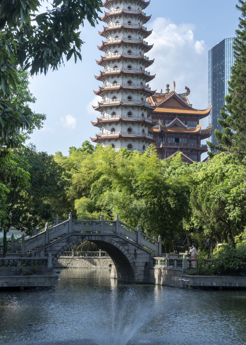 rocwow's tweet image. 心灯可明尘世繁华，清风可拂无尽烦恼"