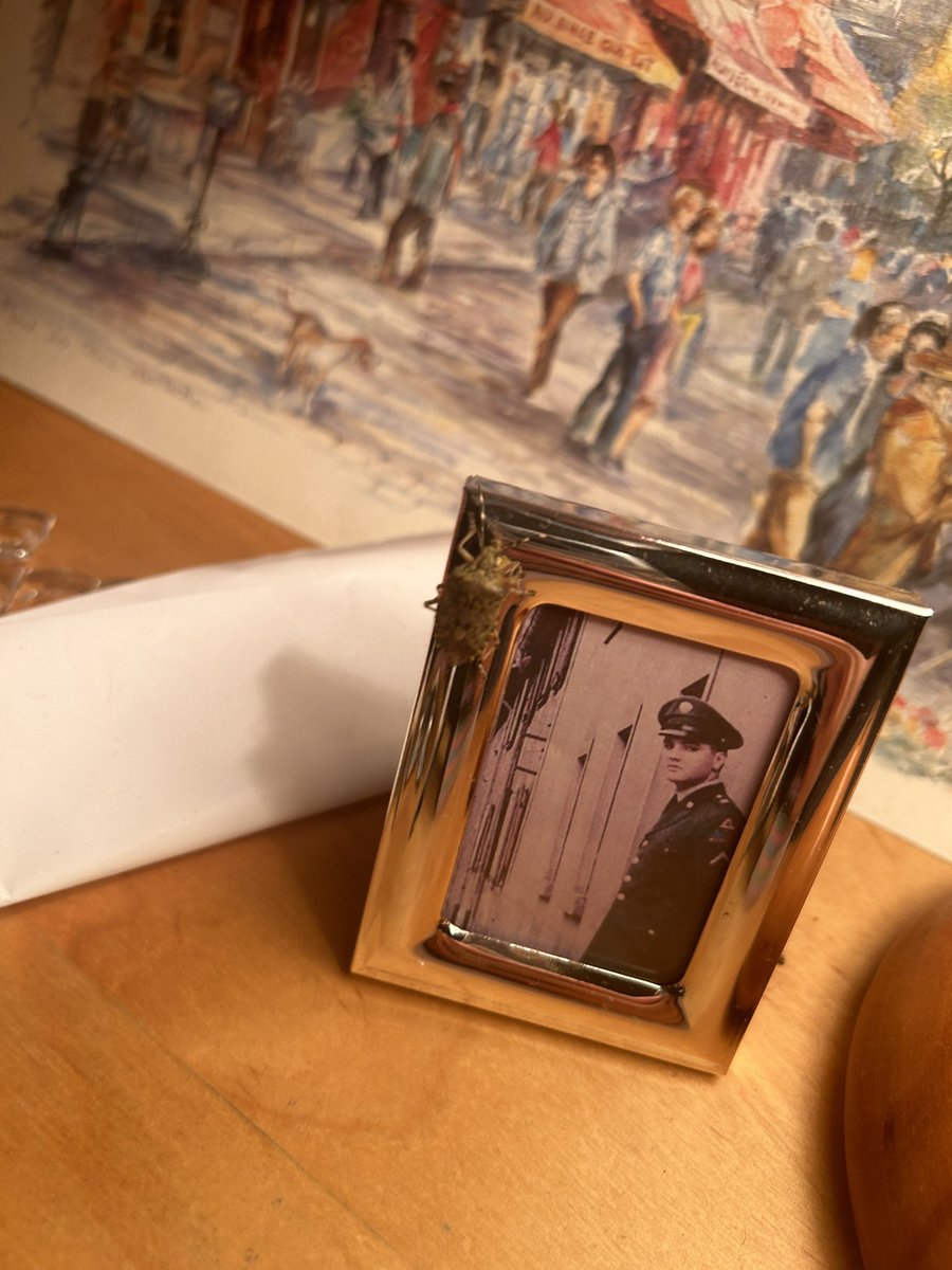 I wanted to take a photo of this bug deserving jail for sitting on my elvis pic but why did it turn out so aesthetic lmfao