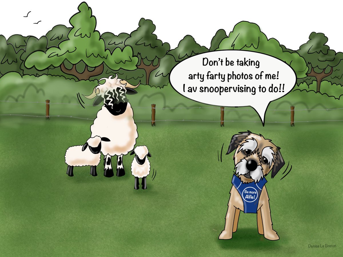Border Terrier Welfare (@btwelfare) on Twitter photo Exciting news! One lucky BT owner attending our event next Sunday will win a personalised cartoon of their dog by artist, illustrator and BTW supporter Denise Le Breton. What a fantastic prize!
To get your event tickets, please email secretary@borderterrierwelfare.co.uk Exciting news! One lucky BT owner attending our event next Sunday will win a personalised cartoon of their dog by artist, illustrator and BTW supporter Denise Le Breton. What a fantastic prize!
To get your event tickets, please email secretary@borderterrierwelfare.co.uk