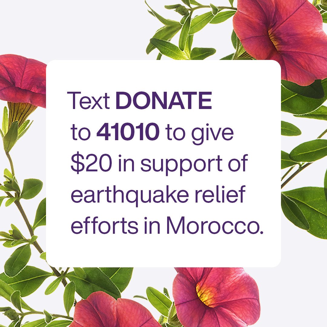 We’re incredibly saddened by the devastation and lives lost by the #MoroccoEarthquake. We have launched a campaign in support of Canadian charities providing earthquake relief in Morocco. You can join us by texting DONATE to 41010 to give $20 today.