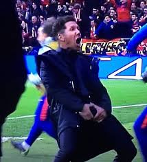 Fernando tweet media