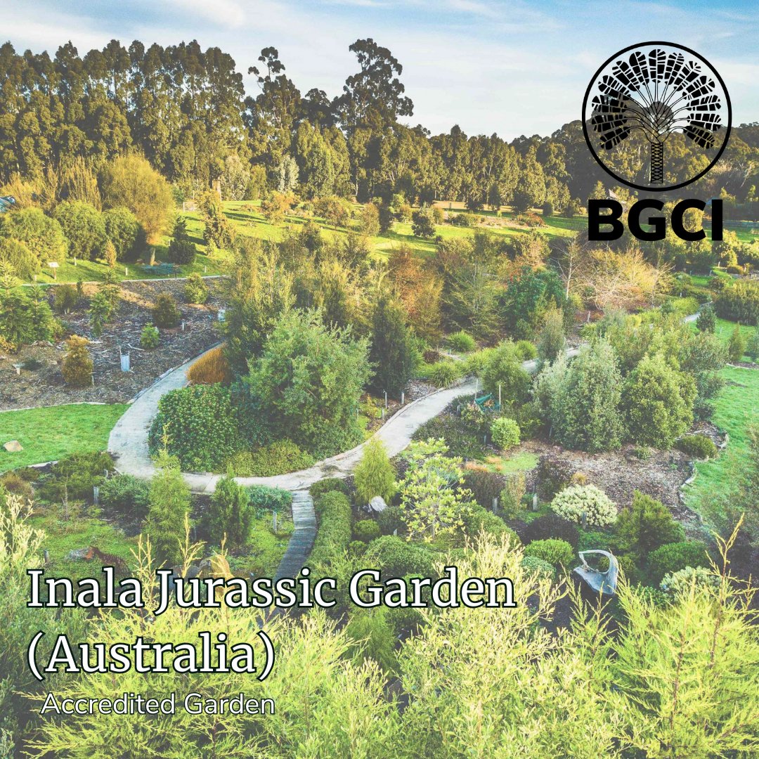 Inala Jurassic Garden is one of our Accredited Gardens.
Find out more about BGCI's Botanic Garden Accreditation: ow.ly/SCZO50PIcOi
#ConservationAction #BotanticGardensForConservation #GlobalConservationNetwork #BotanicGardenOpportunities