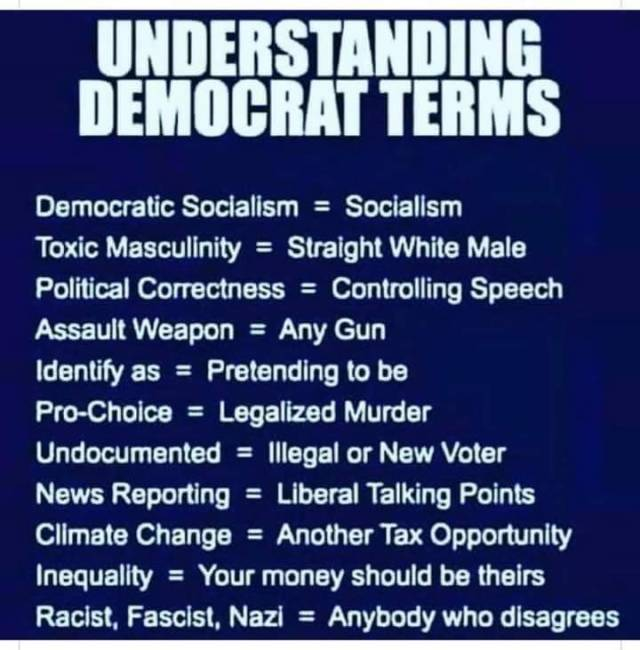 RickyDoggin's tweet photo. A Quick Guide For 'Lib Speak' https://t.co/X7dV1mPawD