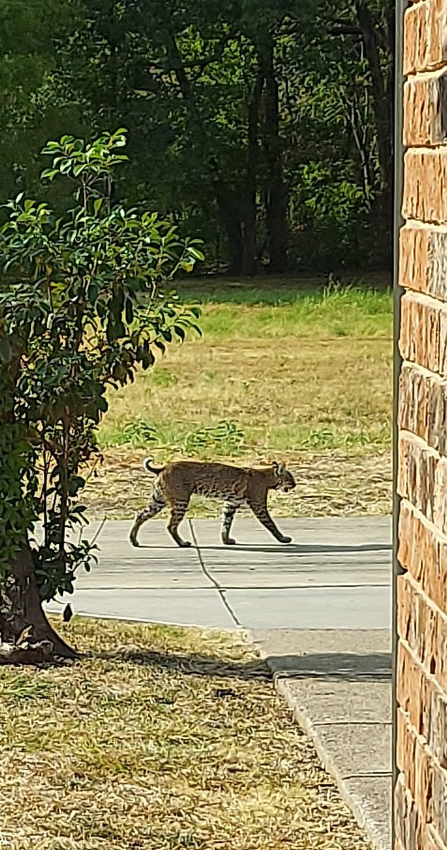 @SoSportsy tweet media