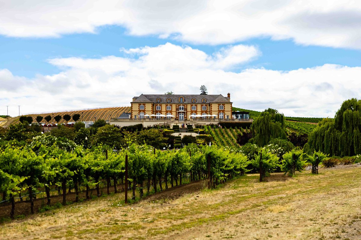 egioel's tweet photo. Rich

Napa, CA 

https://t.co/3v0Ghqo7QA 

#napa #napavalley #wine #winecountry #winetasting #california #sonoma #winelover #bayarea #winetime  #vacaville #napawine #travel #donapa #winery #sonomacounty #napavalleywine #winestagram #vino #summer #santarosa https://t.co/o05byzyVLf