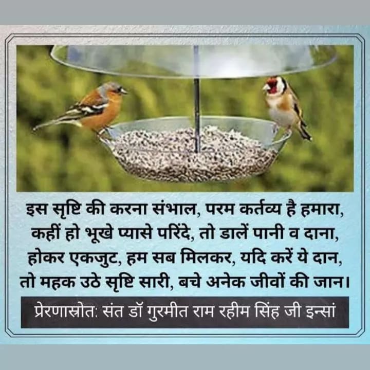 Birds help the environment by aiding the pollination of seeds which lead to more trees. Birds Nurturing has been initiated by DSS followers , keep a bowl of food & water to save little birds with the inspiration of Saint MSG.
#BirdsNeedOurHelp