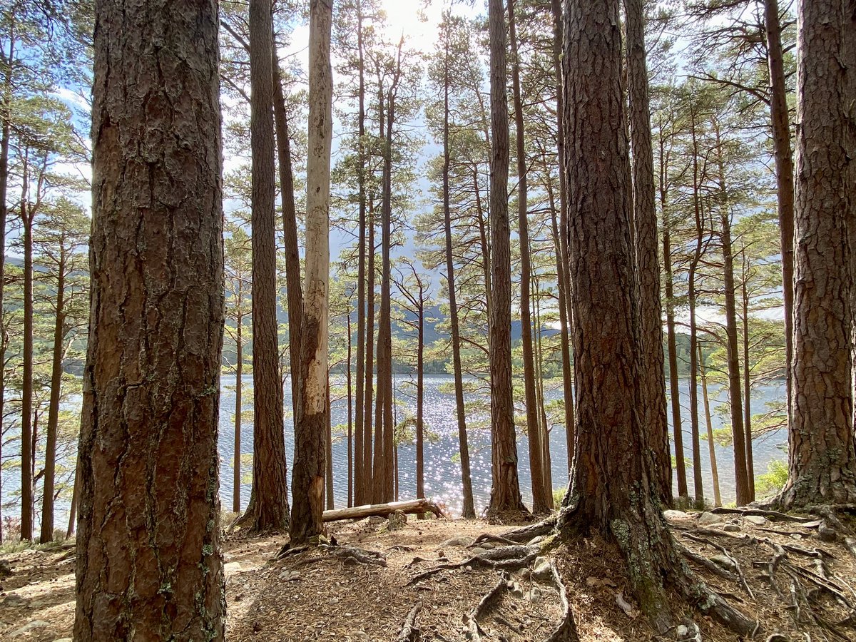 Edward Duncan tweet media