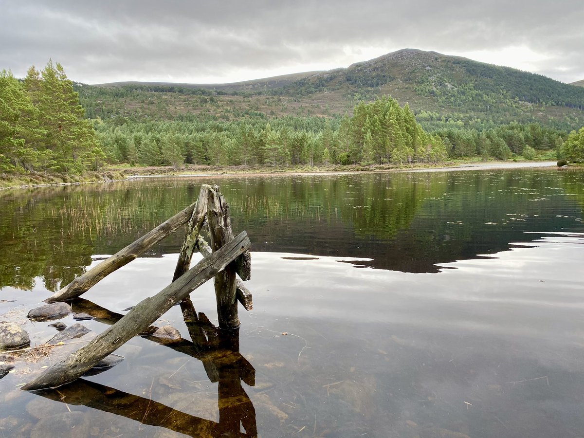 Edward Duncan tweet media