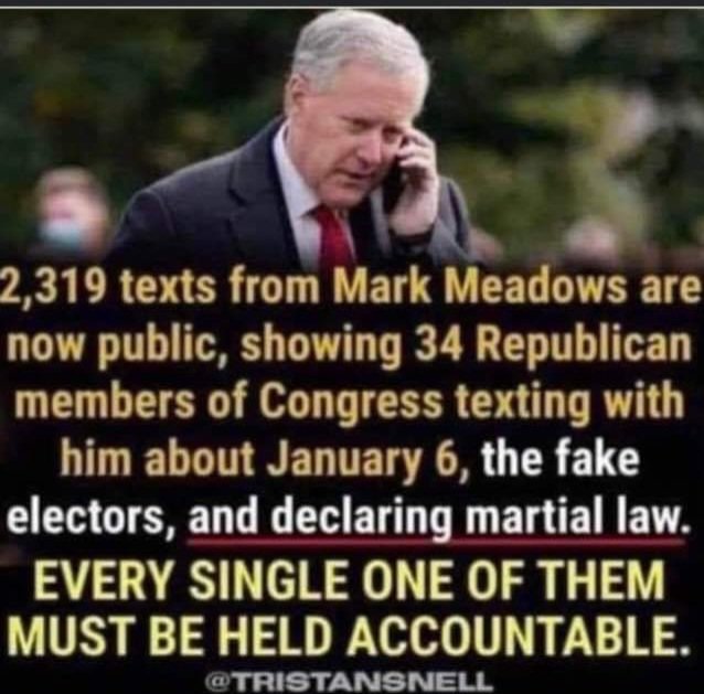 Maria Schell-Cannon tweet media