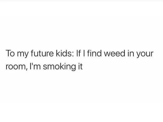 Stoner Tweets tweet media